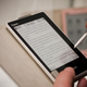 Illustration for article titled Samsungs Touchscreen Papyrus E-book Reader